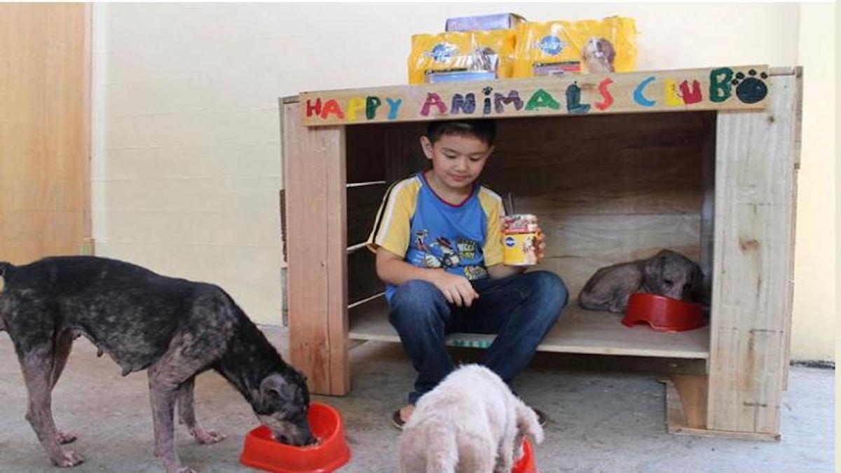 Ce garçon de 9 ans construit un refuge pour animaux dans son garage