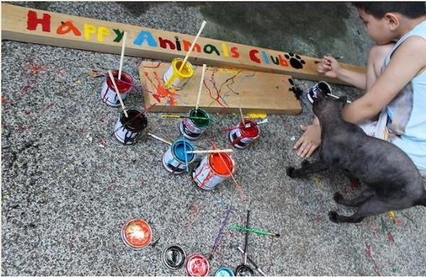 Ce garçon de 9 ans construit un refuge pour animaux dans son garage