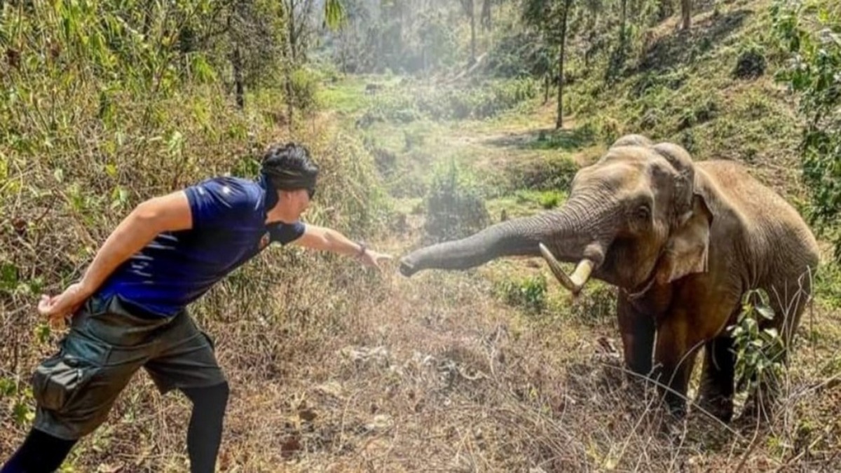 Ce qu'a fait un éléphant lorsqu'il a retrouvé le vétérinaire qui lui avait sauvé la vie 12 ans plus tôt