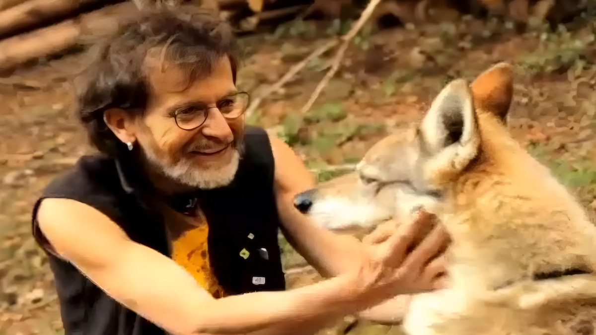 Cet homme et cette louve sont inséparables, une amitié improbable fascinante