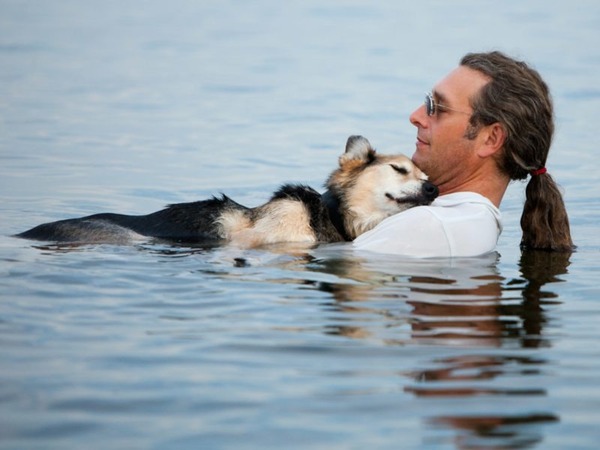 Il nage avec son chien malade pour qu’il dorme, une histoire qui a bouleversé le monde