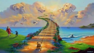 La légende du pont arc-en-ciel, le paradis de nos animaux de compagnie