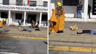 Un chien devient viral pour avoir participé à un exercice de simulation d'accident