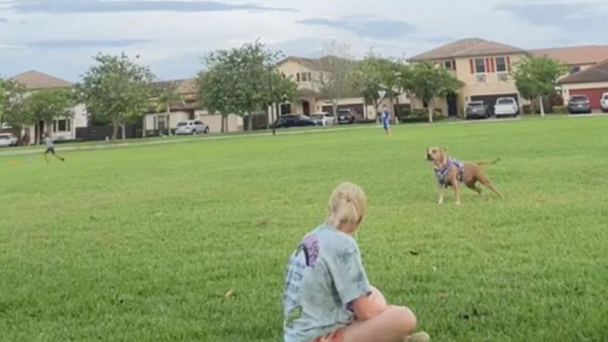 Un chien retrouve sa maîtresse après une longue absence, des retrouvailles déchirantes