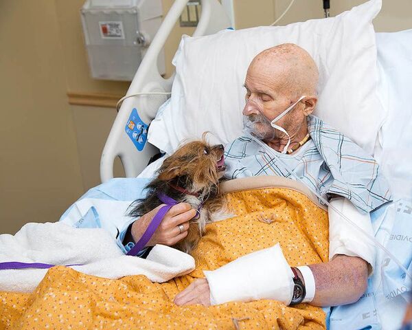 Un ex-combattant veut voir son chien avant de mourir, des adieux déchirants