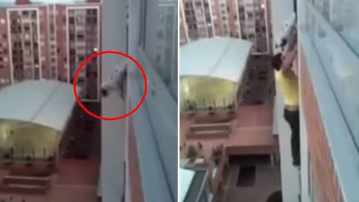 Un homme risque sa vie pour sauver un chien suspendu au balcon d'un immeuble