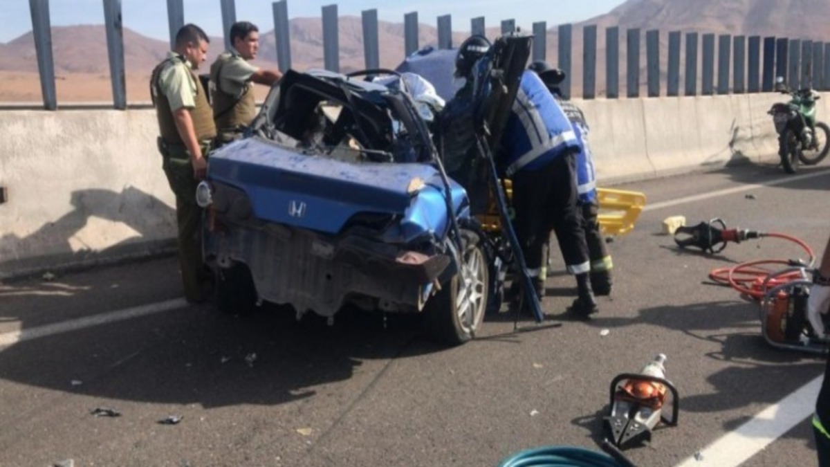 Un ado de 18 ans a fait preuve de bravoure en protégeant un chiot abandonné sur la route, perdant ainsi la vie