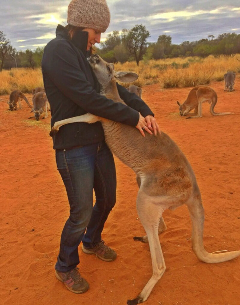 Un kangourou sauvé ne peut s'empêcher de serrer dans ses bras les bénévoles qui lui ont sauvé la vie