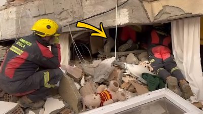Une maison avec des chats explose, 8 jours après, ils découvrent l’impensable dans les décombres