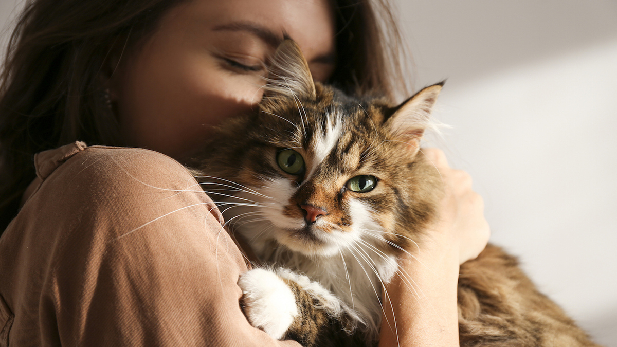 4 façons méconnues qui révèlent que votre chat vous dit qu'il vous aime