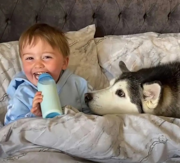 Ce chien adore dormir avec le bébé, il ne se sépare pas de lui la nuit !