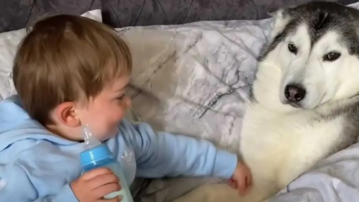 Ce chien adore dormir avec le bébé, il ne se sépare pas de lui la nuit !