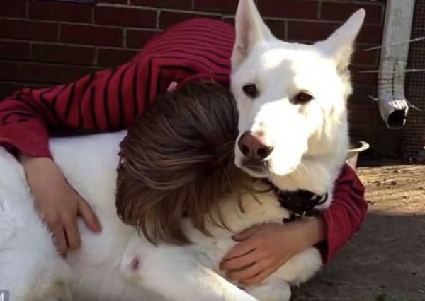 Ce garçon retrouve son meilleur ami un an après, il s’effondre quand il voit le chien