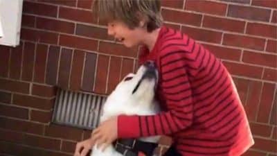 Ce garçon retrouve son meilleur ami un an après, il s’effondre quand il voit le chien