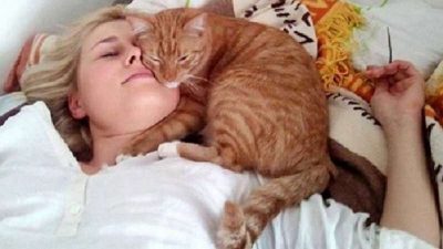 Votre chat veut toujours dormir sur vous ? Comprendre la réelle signification