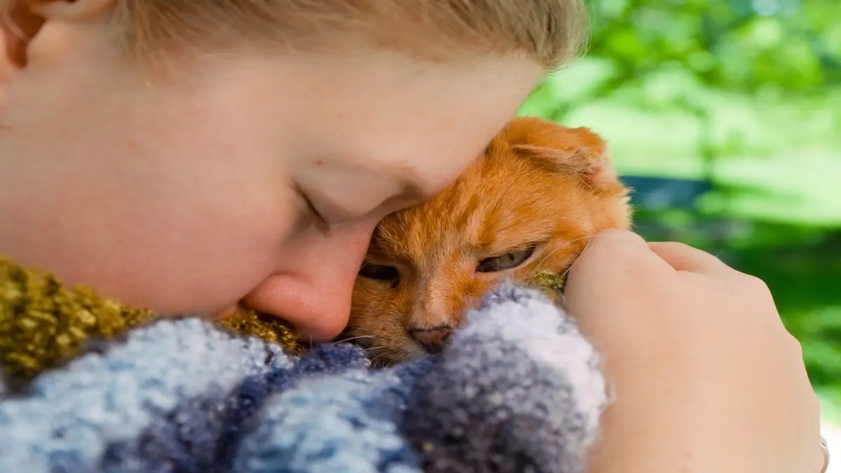 Choses que les chats font pour leurs propriétaires et que vous n'aviez peut-être pas remarquées