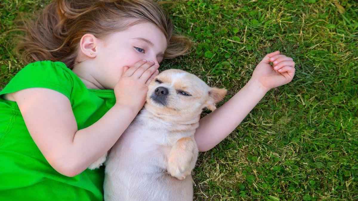 Combien de mots les chiens comprennent-ils ? Découvrez-le