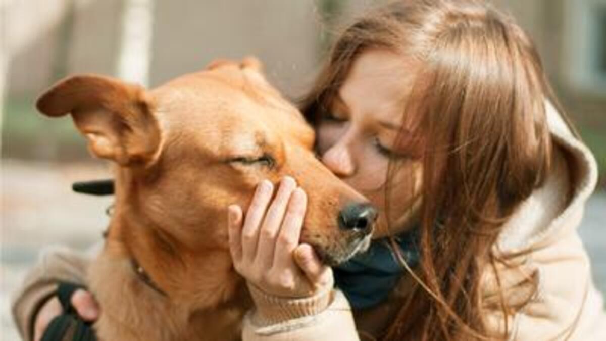 Comment savoir si un chien se sent aimé La réponse vous surprendra