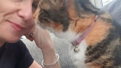 Elle perd son chat : elle rêve de l'endroit où il était enfermé et le retrouve
