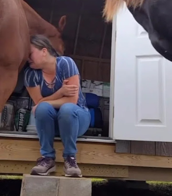 Elle pleure son divorce, son cheval va la consoler et la réconforter, une scène poignante