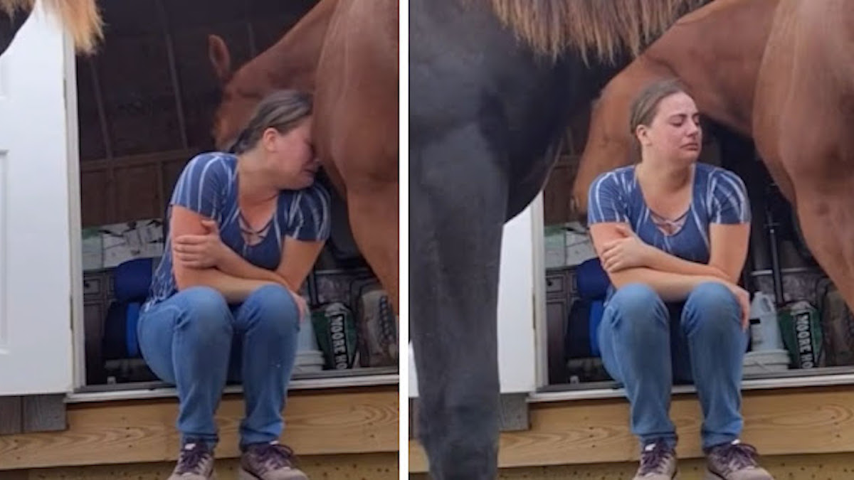 Elle pleure son divorce, son cheval va la consoler et la réconforter, une scène poignante