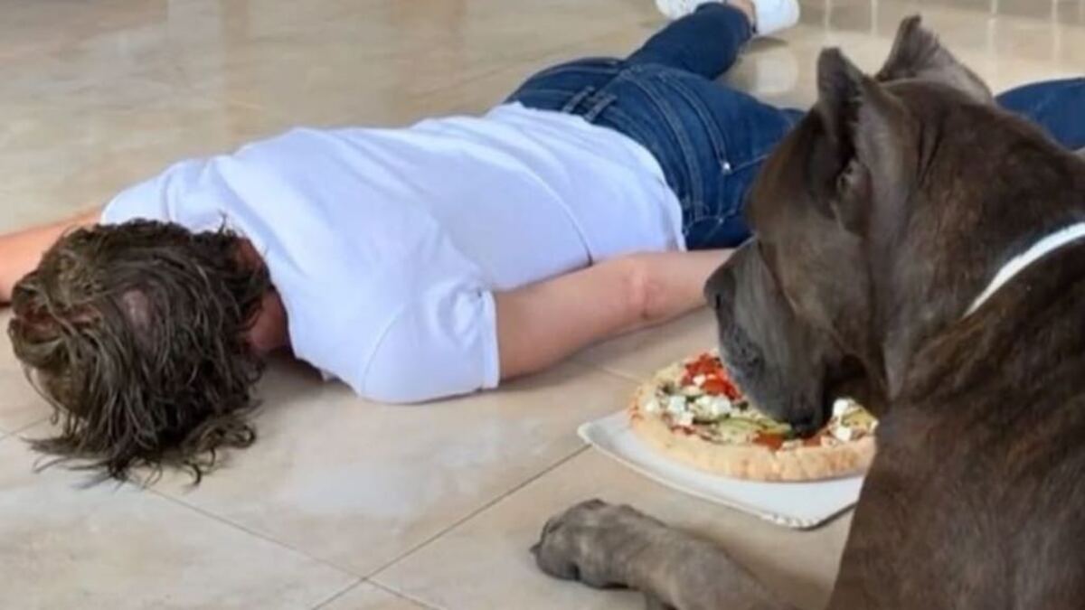 Elle tombe sur le sol avec la pizza et s’évanouit, son chien a une réaction incroyable
