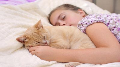 Est-ce bon ou mauvais de dormir avec son chat ? Des experts répondent