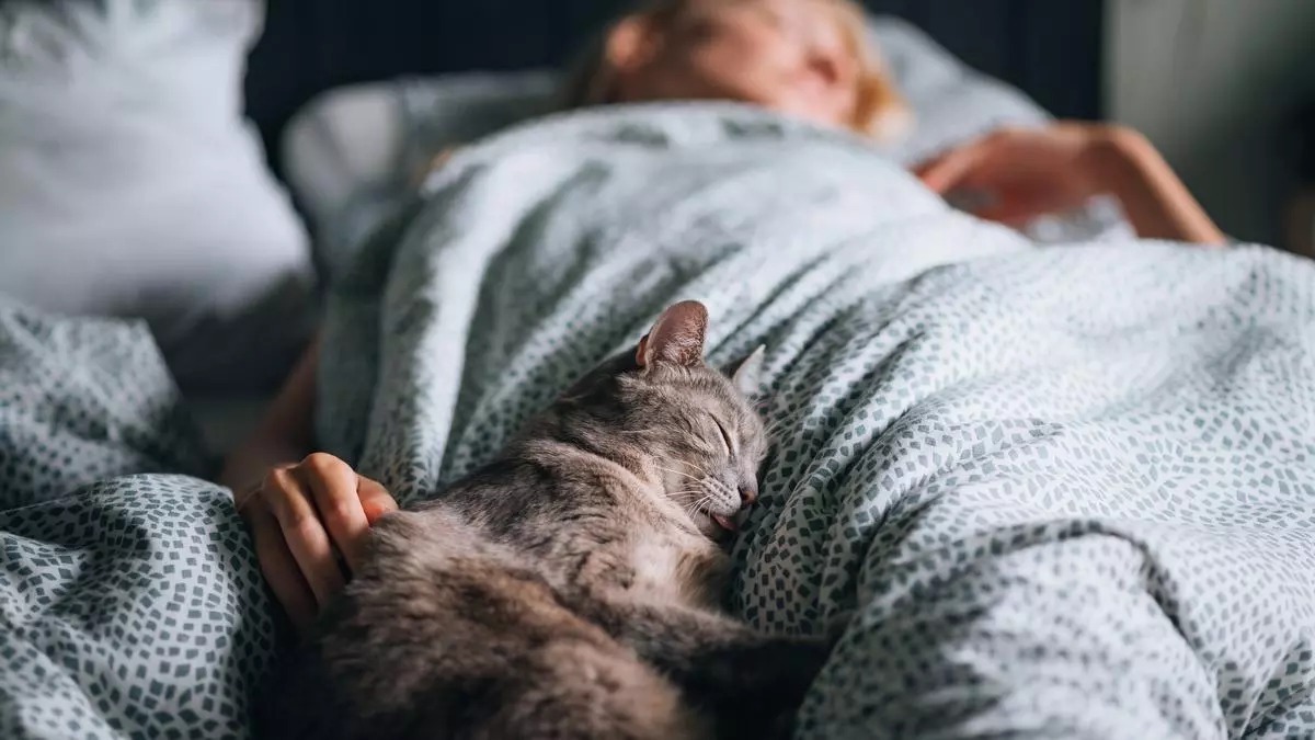 Est-ce une bonne idée de dormir avec son animal de compagnie ?