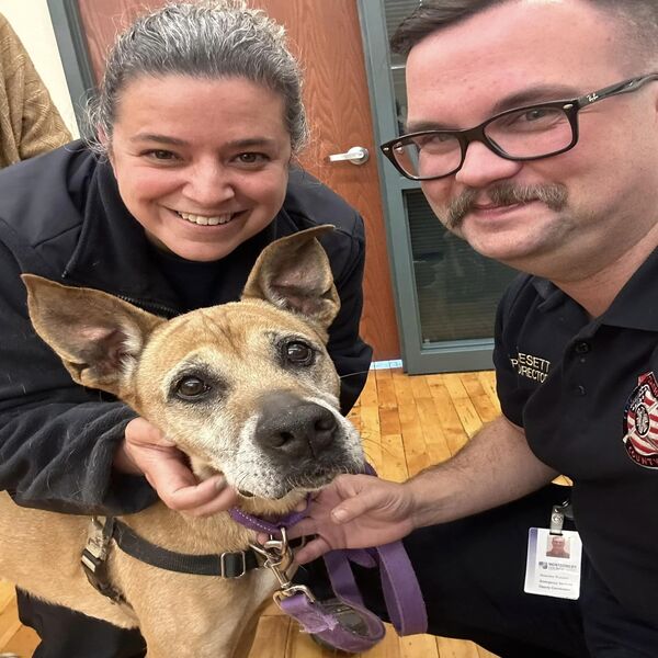 La caserne de pompiers devient un foyer d'accueil pour un chien aspirant à un nouveau départ