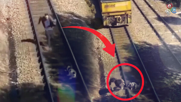 La vidéo émouvante d'un homme qui risque sa vie pour sauver un chien coincé sur les rails d'un train