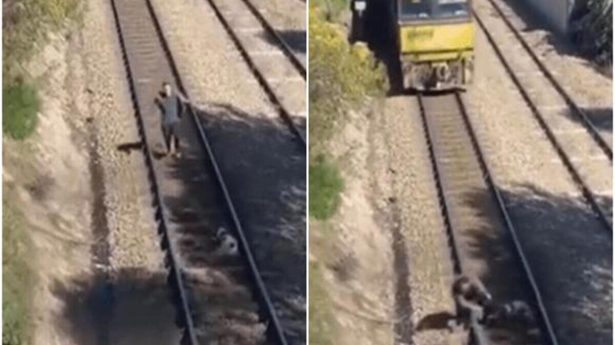 La vidéo émouvante d'un homme qui risque sa vie pour sauver un chien coincé sur les rails d'un train