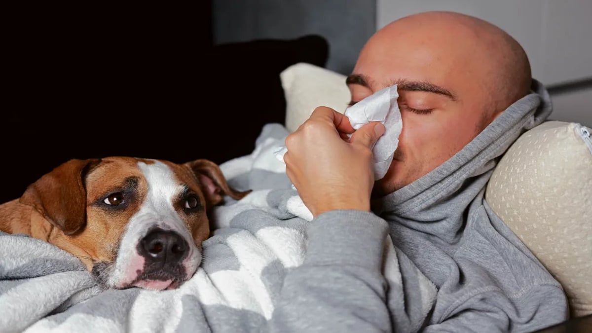 Les chiens savent quand leur maître est ou va tomber malade !