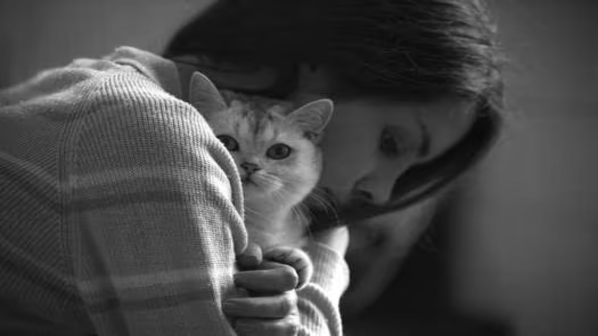 Les signes révélateurs de la loyauté inconditionnelle de votre chat envers vous