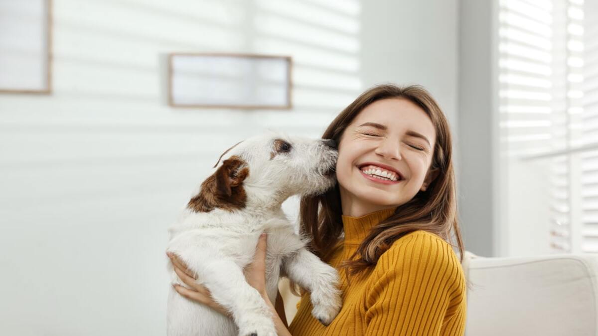 Qu’est-ce que les chiens aiment le plus chez leurs propriétaires