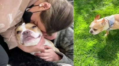 Son chien devait être euthanasié, mais une chose incroyable se produit !
