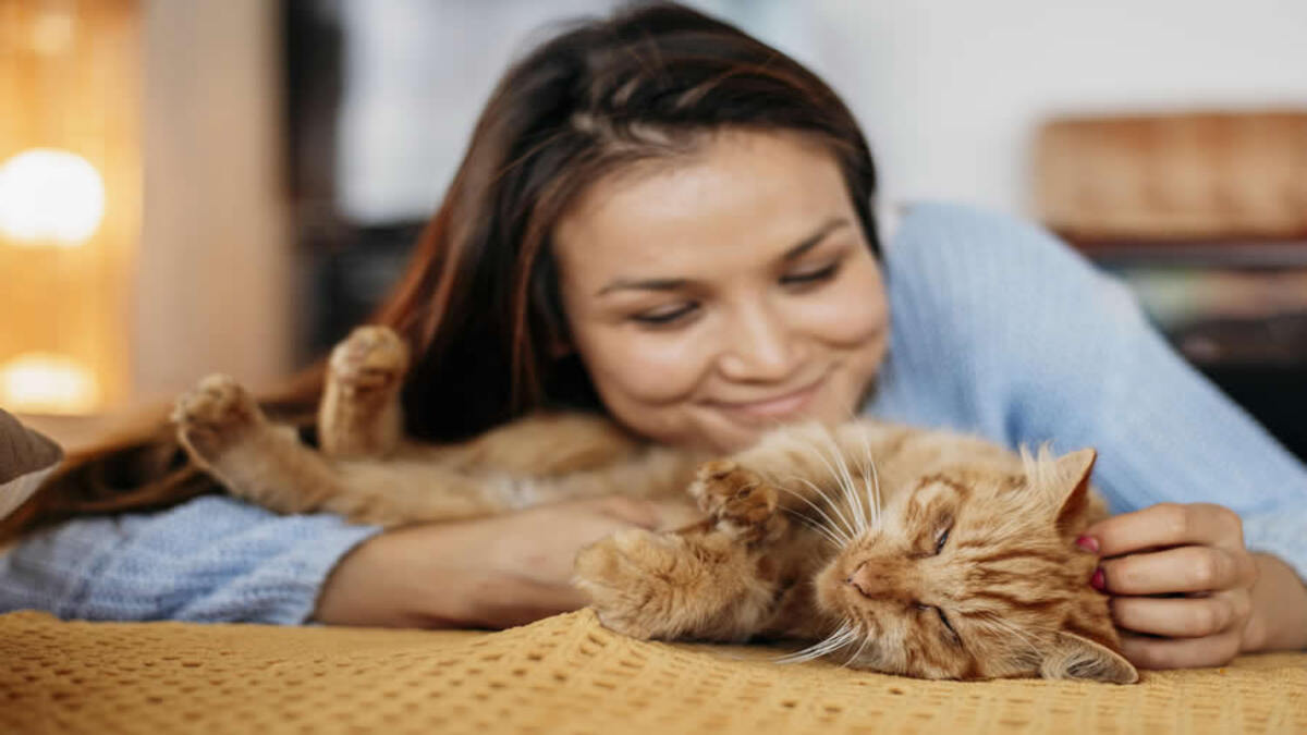 Top 5 des choses que les chats détestent plus que tout, ne les faites pas !