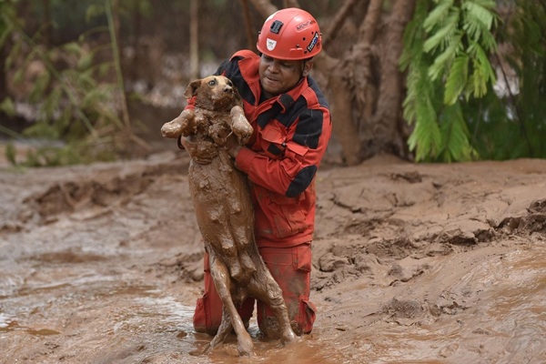 Un ouvrier sauve la vie d'un chien piégé par la boue, un véritable héros
