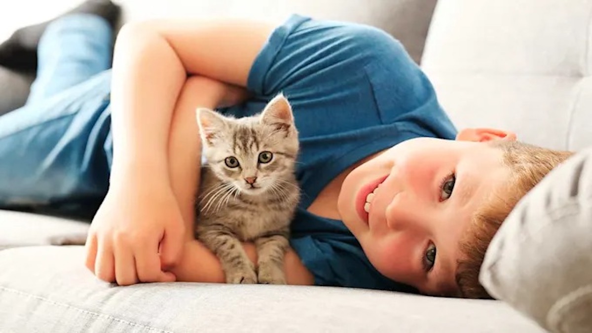 Un chat est-il heureux avec un enfant dans la maison ? Voici comment faire
