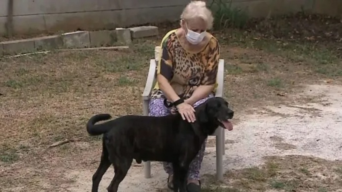 Un chien emménage dans une maison de retraite pour ne pas être séparé de son maître