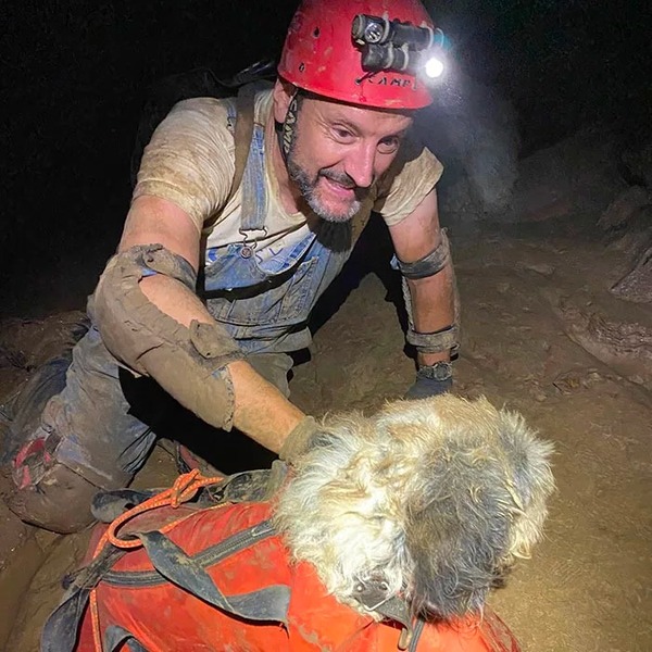 Un chien est miraculeusement sauvé à 200 mètres sous terre après 1 mois de disparition