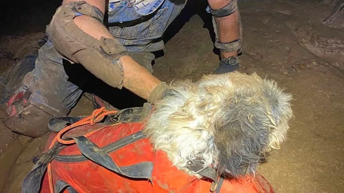 Un chien est miraculeusement sauvé à 200 mètres sous terre après 1 mois de disparition