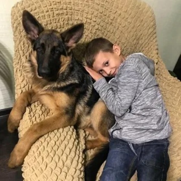Un chien adopté et un enfant de 2 ans partagent une étreinte qui fait chaud au cœur
