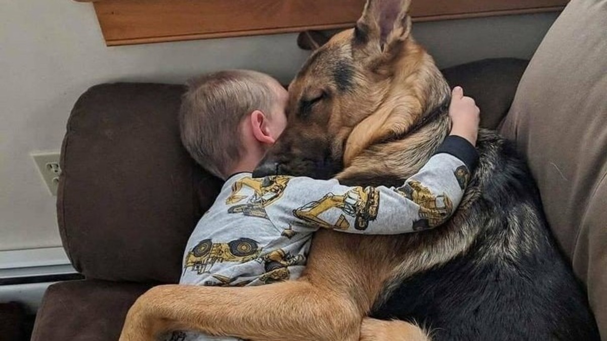 Un chien adopté et un enfant de 2 ans partagent une étreinte qui fait chaud au cœur