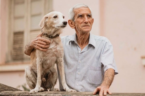Un photographe capture les moments adorables d'un vieil homme et de son chien