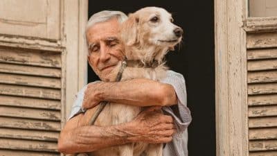 Un photographe capture les moments adorables d'un vieil homme et de son chien