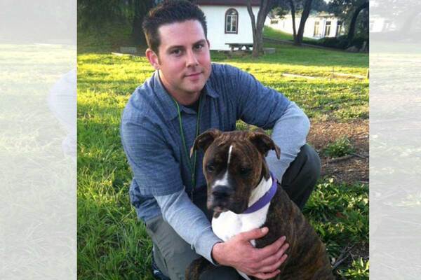 Un pitbull soutient son propriétaire qui n'a plus que quelques minutes à vivre, une scène émouvante