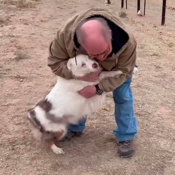 Une chienne sourde et aveugle reconnaît immédiatement son maître après un an de séparation