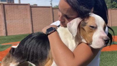 Une famille lance un appel à l'aide après avoir découvert une chienne en détresse dans son jardin