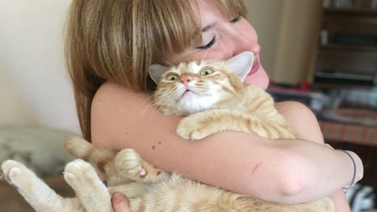 Voici ce que ressent réellement votre chat lorsque vous le serrez dans vos bras