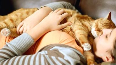 Voici les raisons pour lesquelles votre chat aime se blottir sur vous